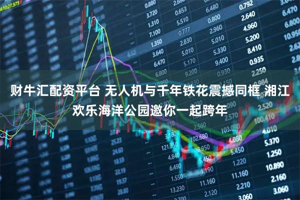 财牛汇配资平台 无人机与千年铁花震撼同框 湘江欢乐海洋公园邀你一起跨年