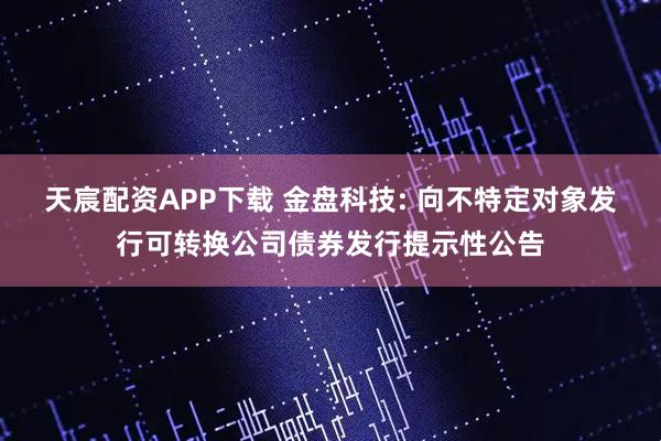 天宸配资APP下载 金盘科技: 向不特定对象发行可转换公司债券发行提示性公告