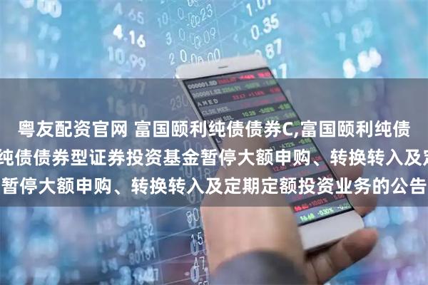 粤友配资官网 富国颐利纯债债券C,富国颐利纯债债券型A: 关于富国颐利纯债债券型证券投资基金暂停大额申购、转换转入及定期定额投资业务的公告