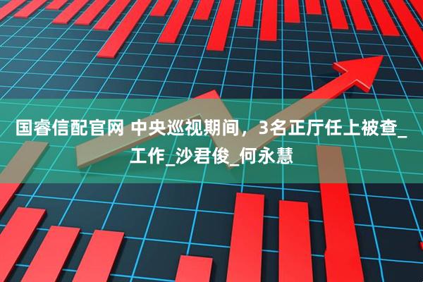 国睿信配官网 中央巡视期间，3名正厅任上被查_工作_沙君俊_何永慧