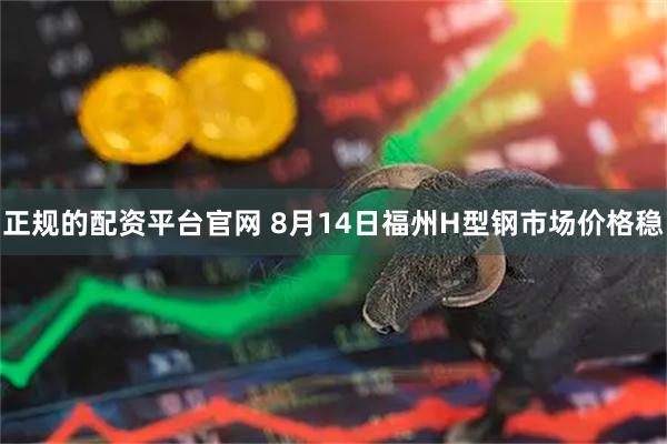 正规的配资平台官网 8月14日福州H型钢市场价格稳